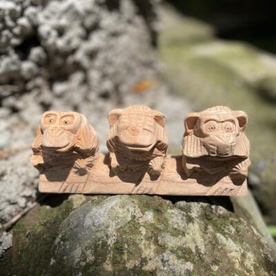 Monky Wood Carving