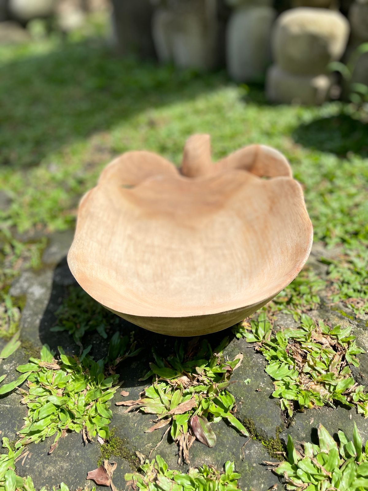Wooden Bowl Handmade