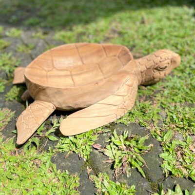 Wooden Bowl Turtle