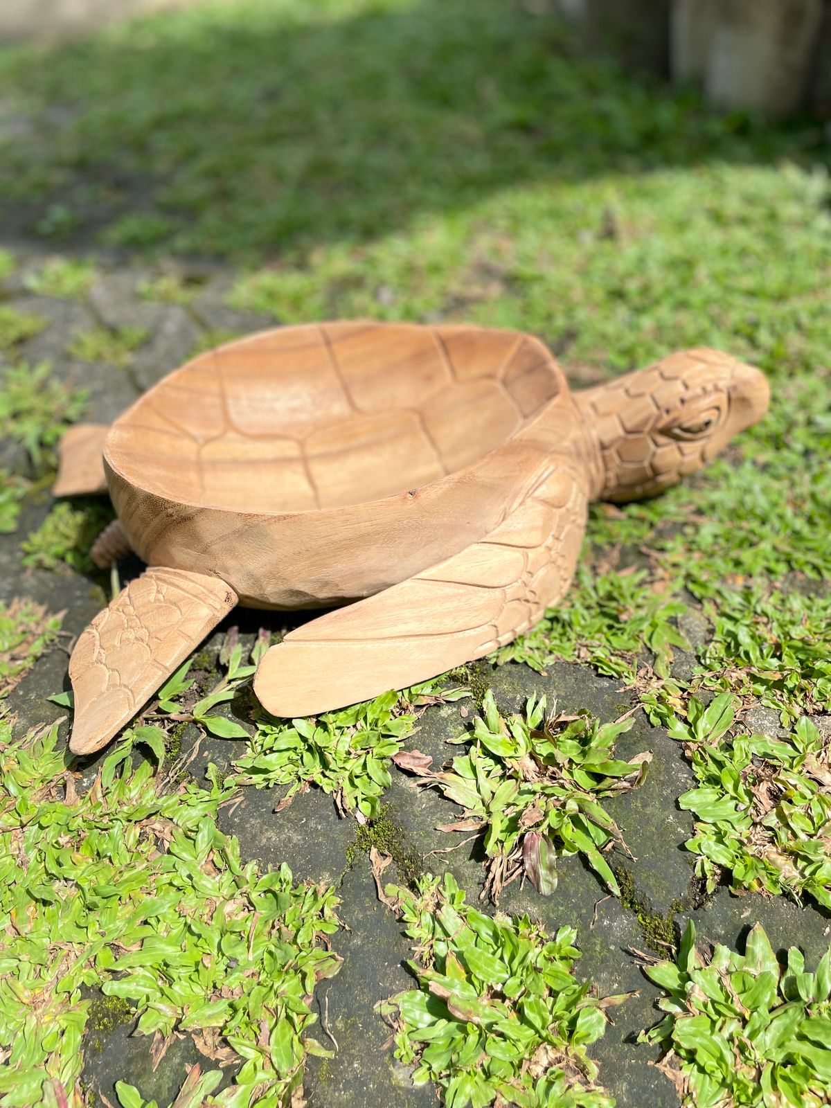 Wooden Bowl Turtle