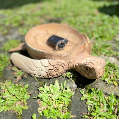 Wooden Bowl Turtle