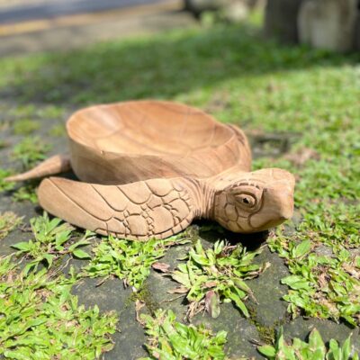 Wooden Bowl Turtle