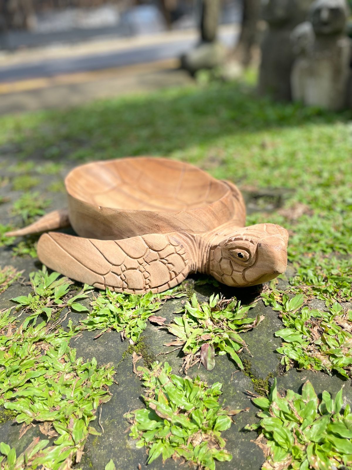 Wooden Bowl Turtle