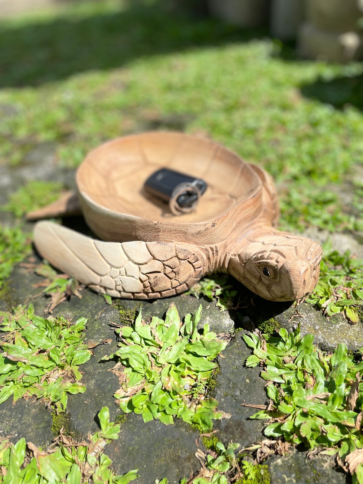 Wooden Bowl Turtle