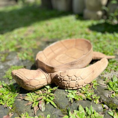Wooden Bowl Turtle