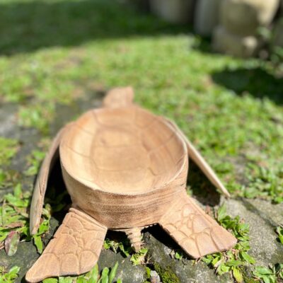 Wooden Bowl Turtle