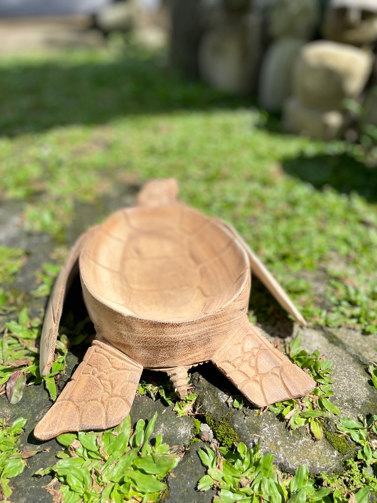 Wooden Bowl Turtle