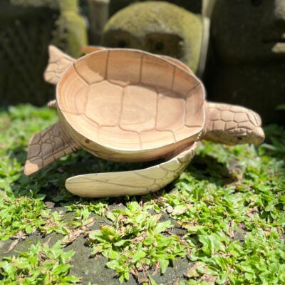 Wooden Bowl Turtle