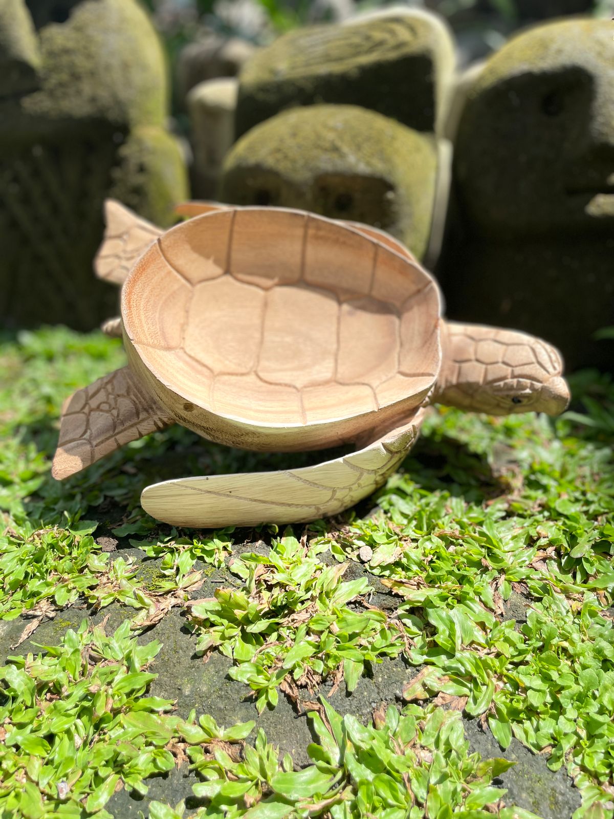 Wooden Bowl Turtle