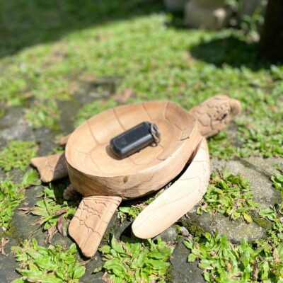 Wooden Bowl Turtle