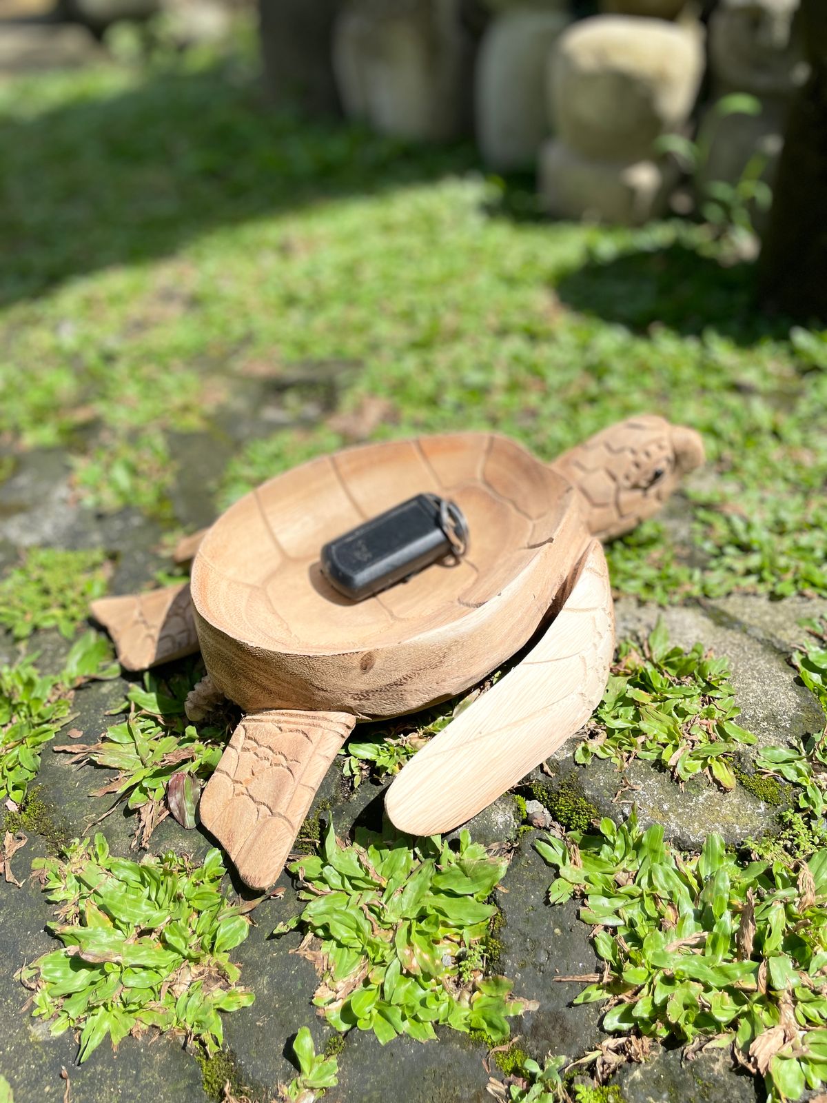 Wooden Bowl Turtle