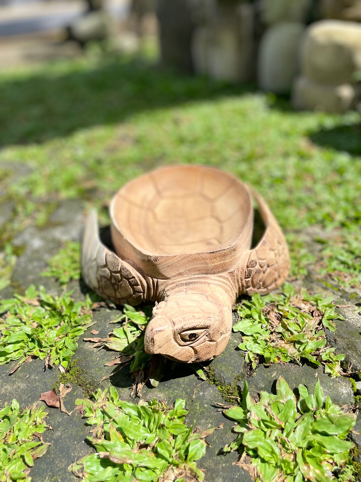 Wooden Bowl Turtle
