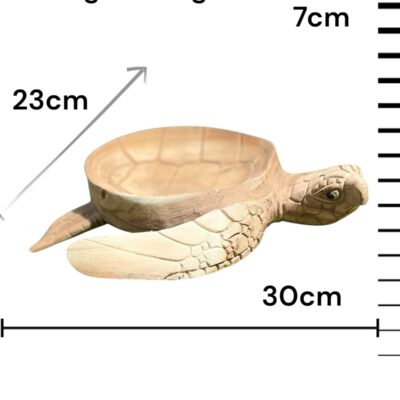 Wooden Bowl Turtle