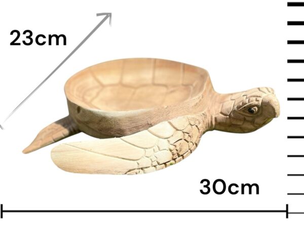 Wooden Bowl Turtle