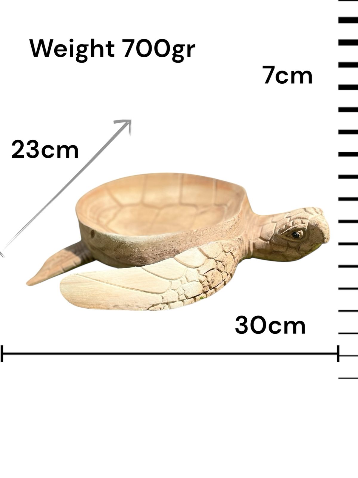 Wooden Bowl Turtle