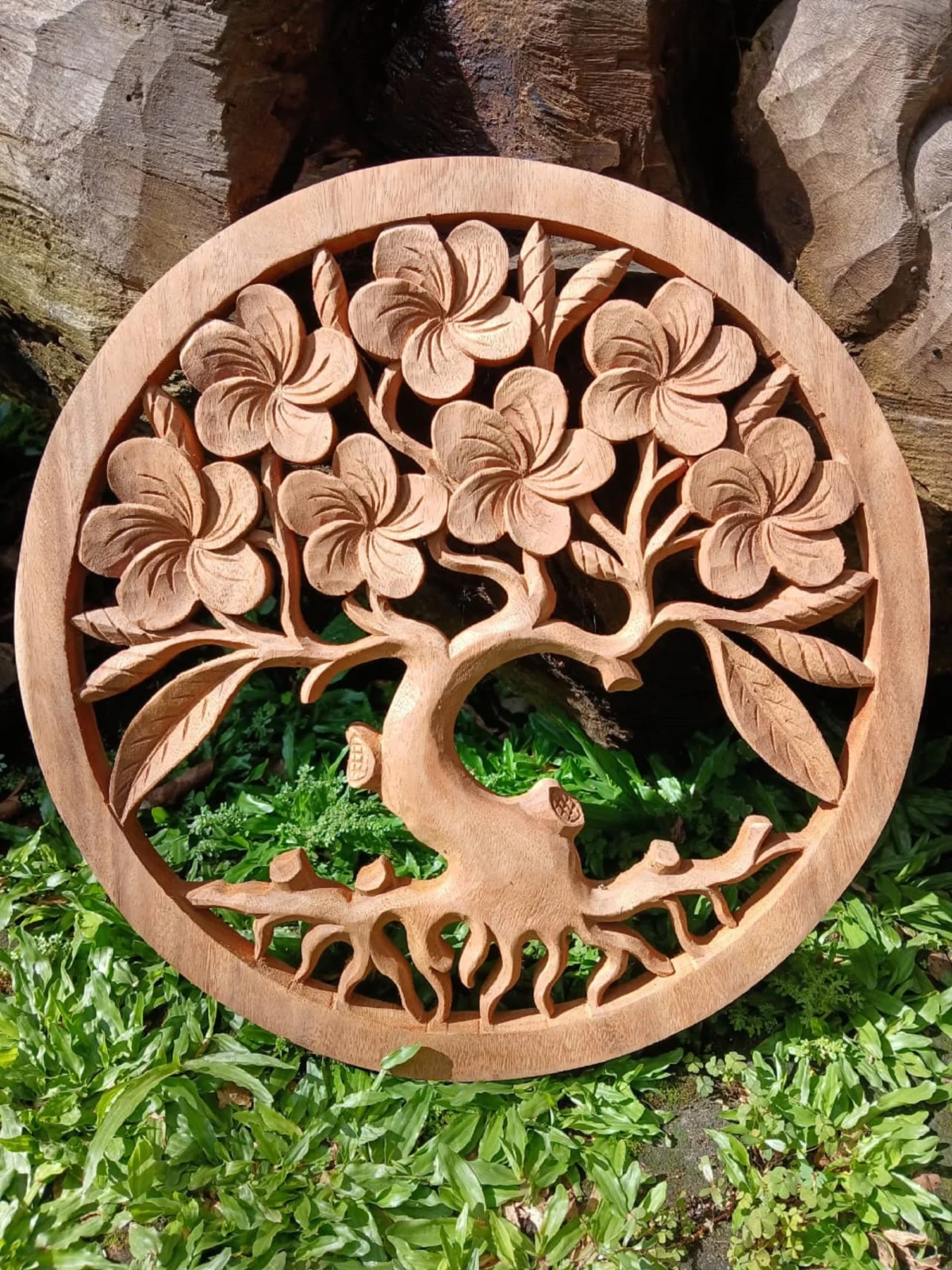 Frangipani Flower,Wall Art Decor, HandMade