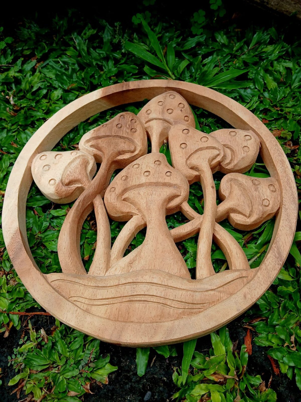Mushroom Wood Wall Art ,Wooden Mushroom Wall Hanging