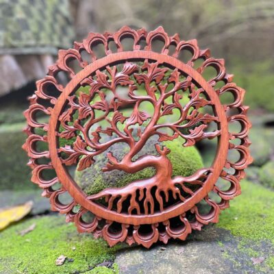 WhatsApp Image 2025-07-26 at 11.57.03 Balinese Pranjipane Flower Wood Wall Carving – Handcrafted Home Decor,Balinese Wall Art Decor,Bali Handmade Wood Wall Art