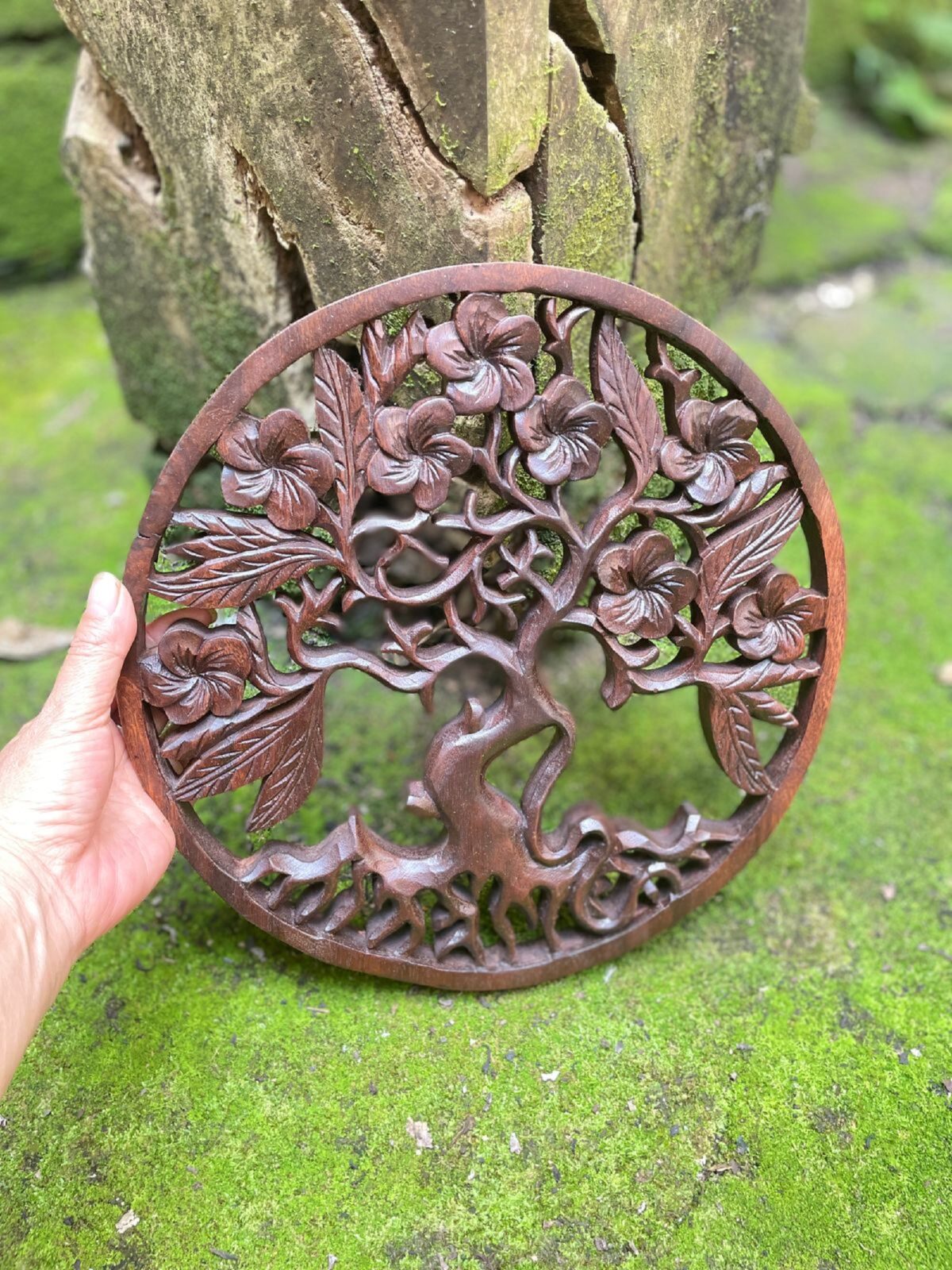 WhatsApp Image 2025-07-28 at 14.01.45 Frangipani Flower Wood Wall Art Hand Carved Floral Decor Tropical Wall Hanging