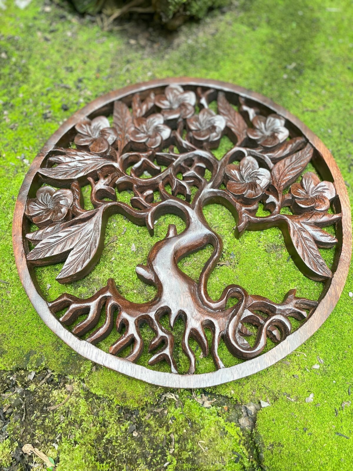 WhatsApp Image 2025-07-28 at 14.01.47 Frangipani Flower Wood Wall Art Hand Carved Floral Decor Tropical Wall Hanging