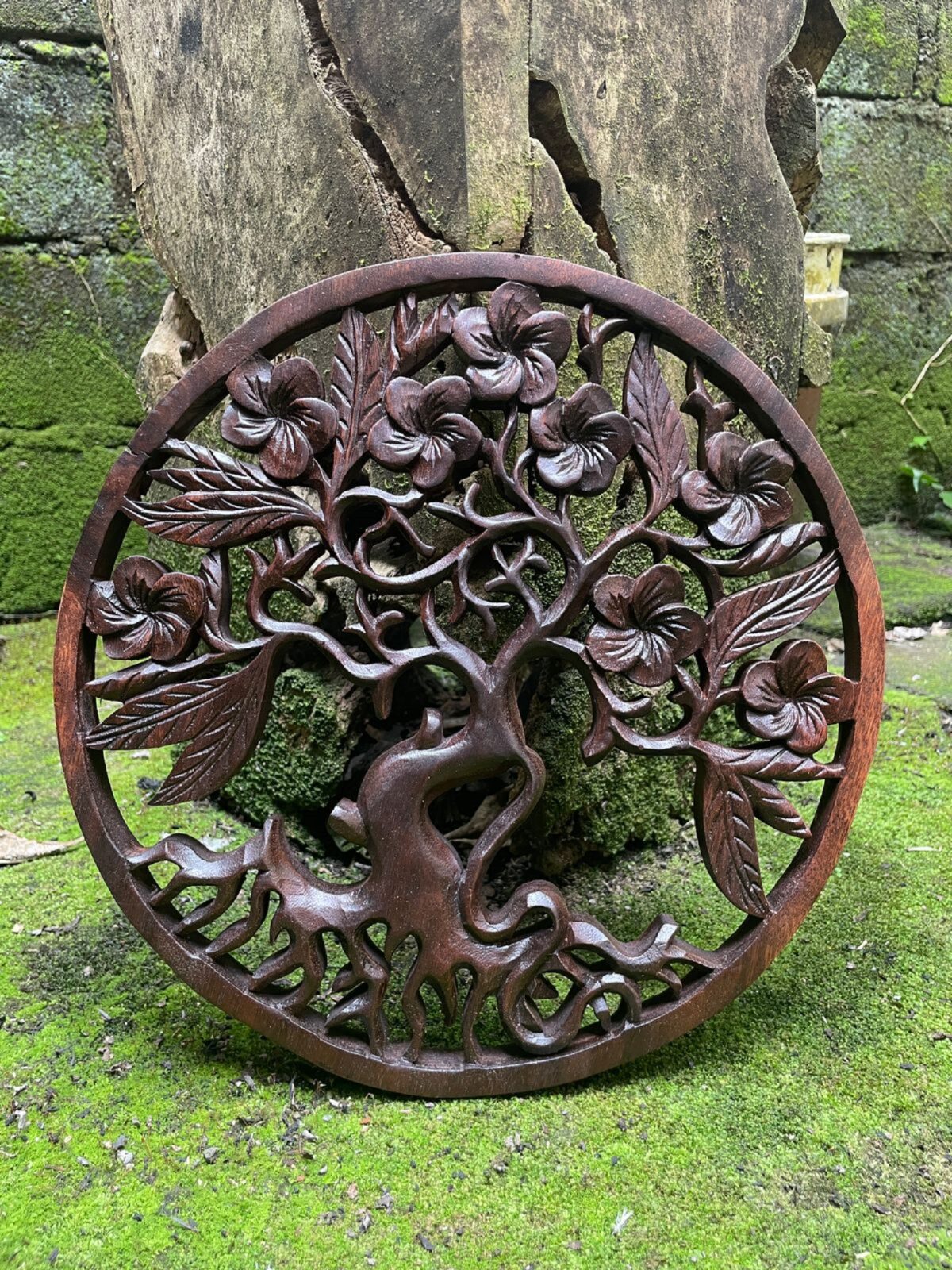 WhatsApp Image 2025-07-28 at 14.01.48 (1) Frangipani Flower Wood Wall Art Hand Carved Floral Decor Tropical Wall Hanging