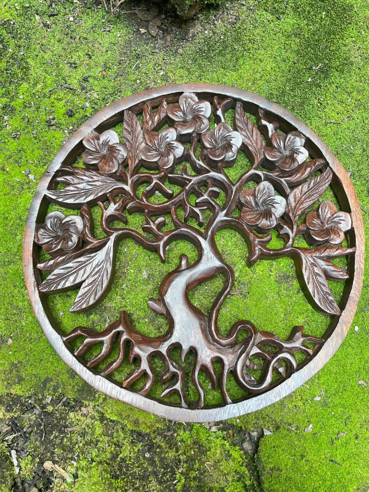 WhatsApp Image 2025-07-28 at 14.01.48 Frangipani Flower Wood Wall Art Hand Carved Floral Decor Tropical Wall Hanging