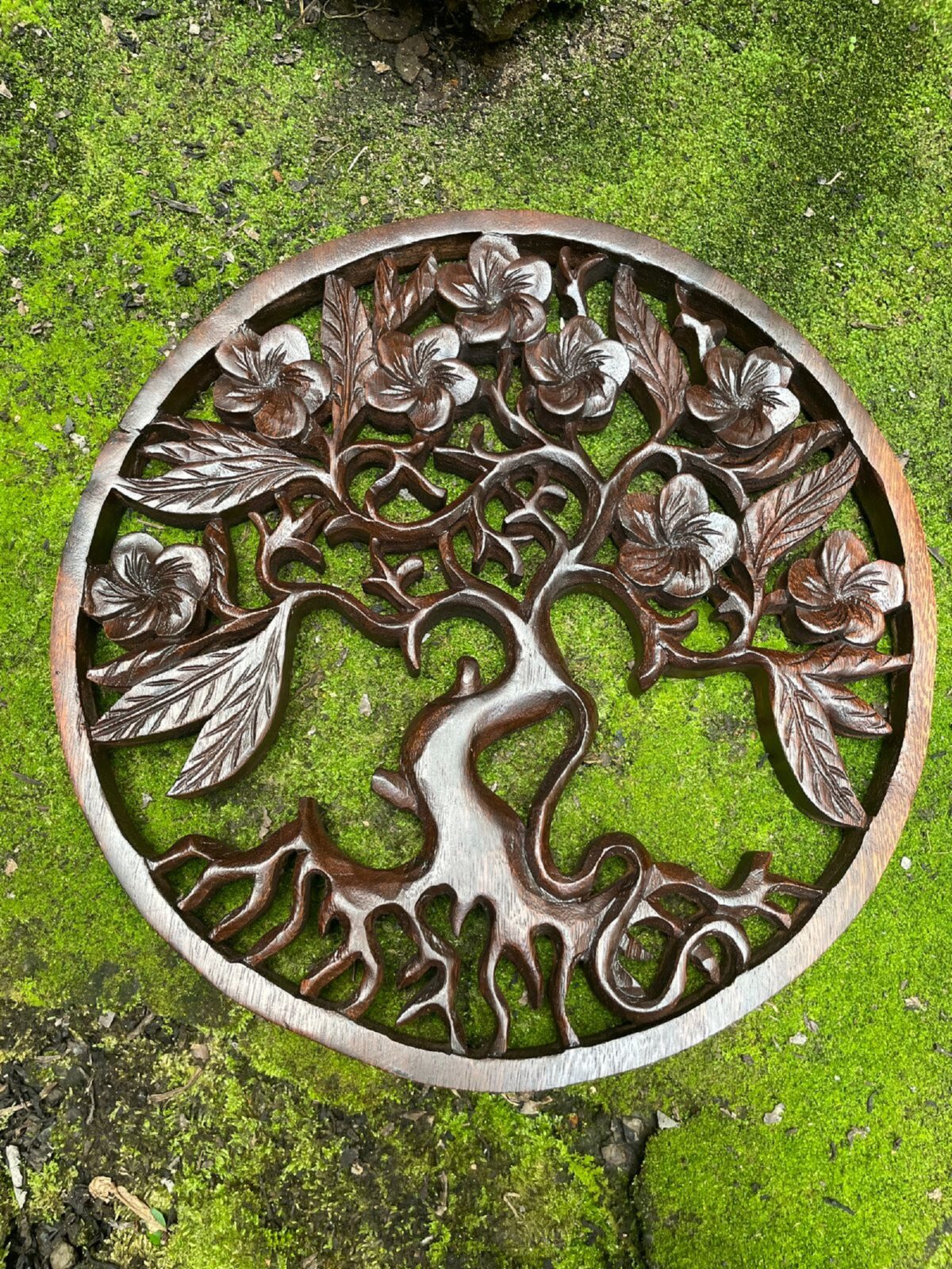 WhatsApp Image 2025-07-28 at 14.01.49 Frangipani Flower Wood Wall Art Hand Carved Floral Decor Tropical Wall Hanging
