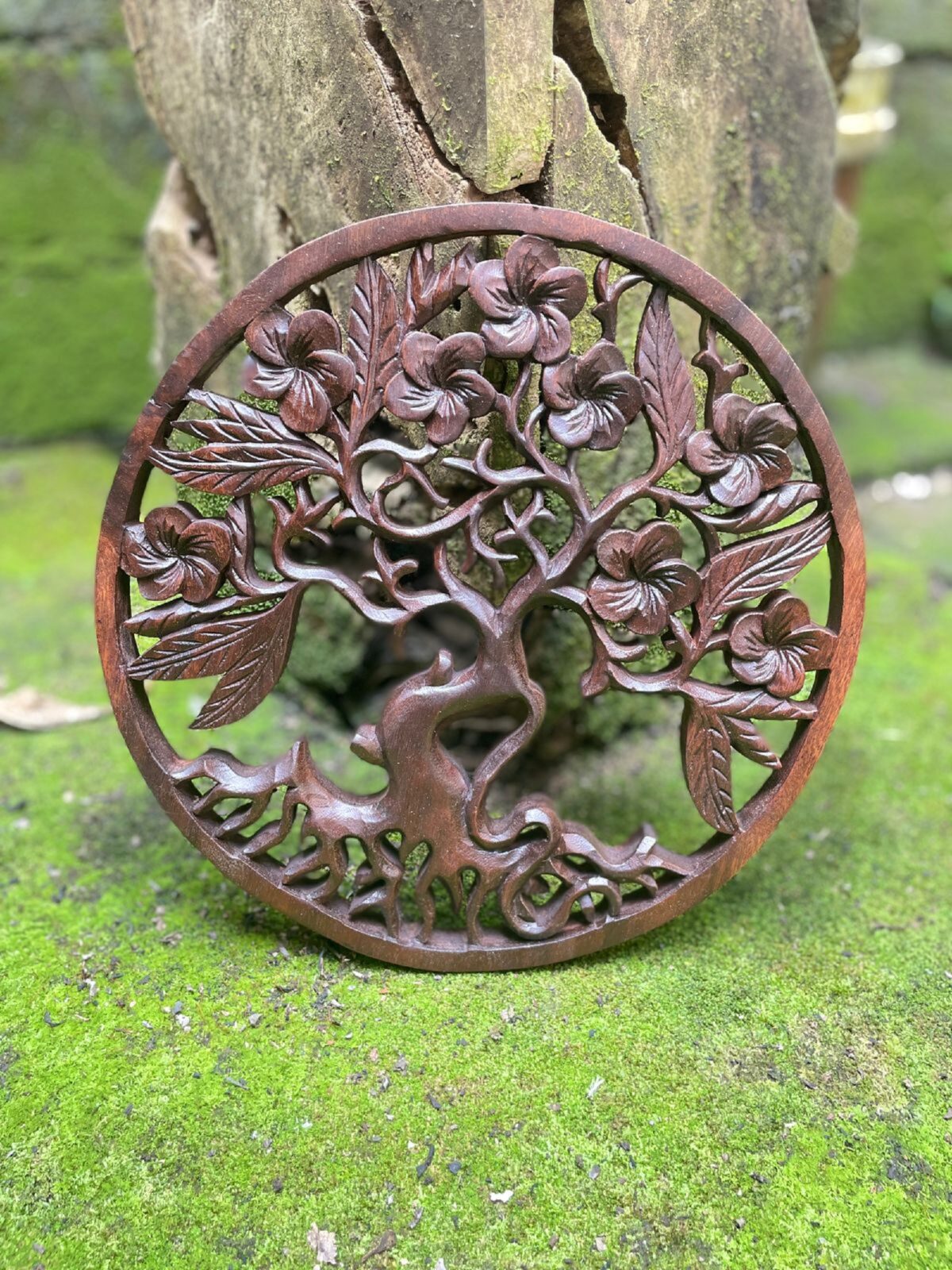 WhatsApp Image 2025-07-28 at 14.01.49 (3) Frangipani Flower Wood Wall Art Hand Carved Floral Decor Tropical Wall Hanging