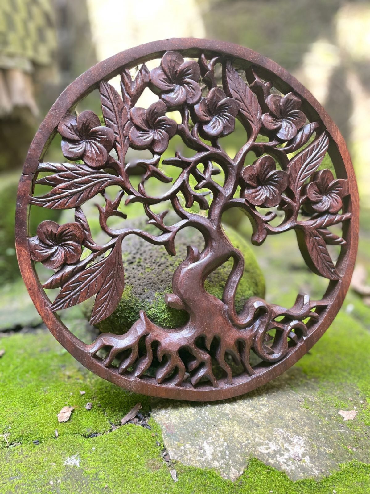 WhatsApp Image 2025-07-28 at 14.01.50 Frangipani Flower Wood Wall Art Hand Carved Floral Decor Tropical Wall Hanging