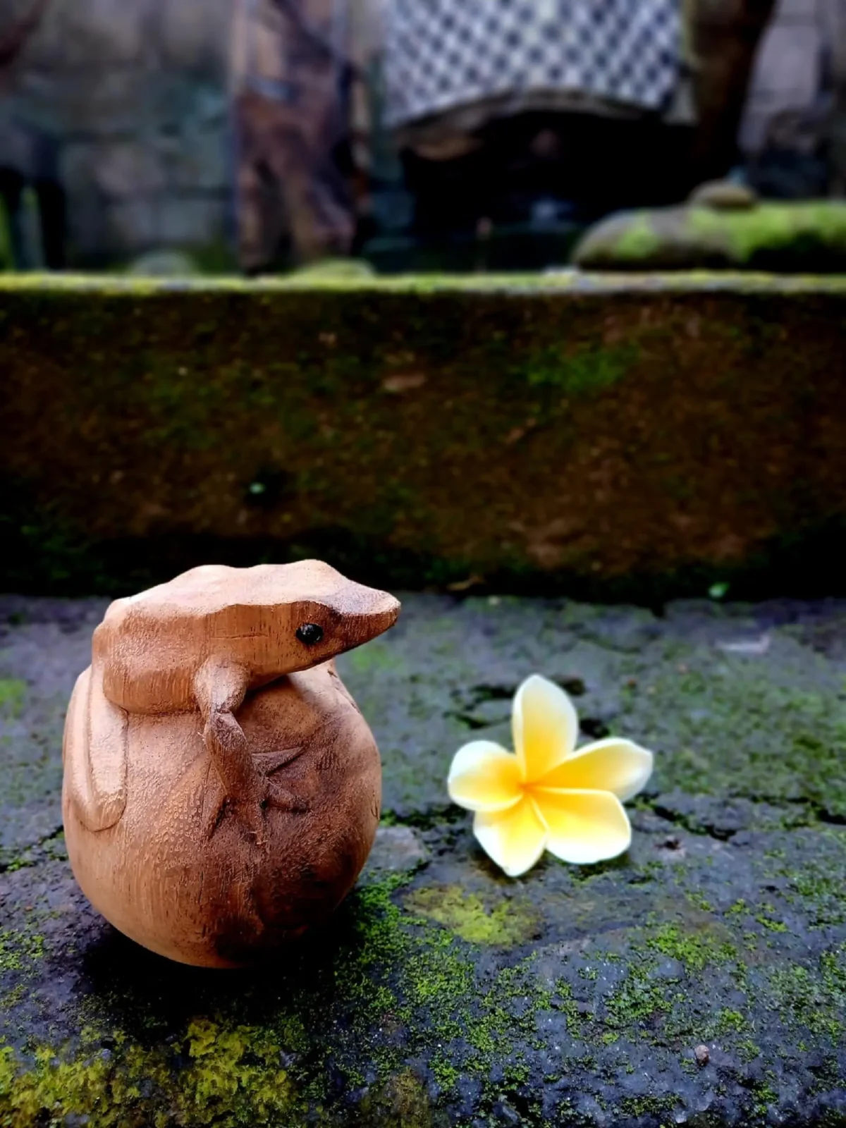 Hand Carved Wooden Frog Figurine,Handmade Animal Decor, Rustic Home Accent