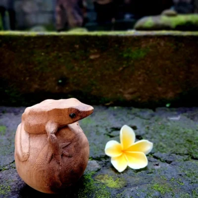 Hand Carved Wooden Frog Figurine,Handmade Animal Decor, Rustic Home Accent