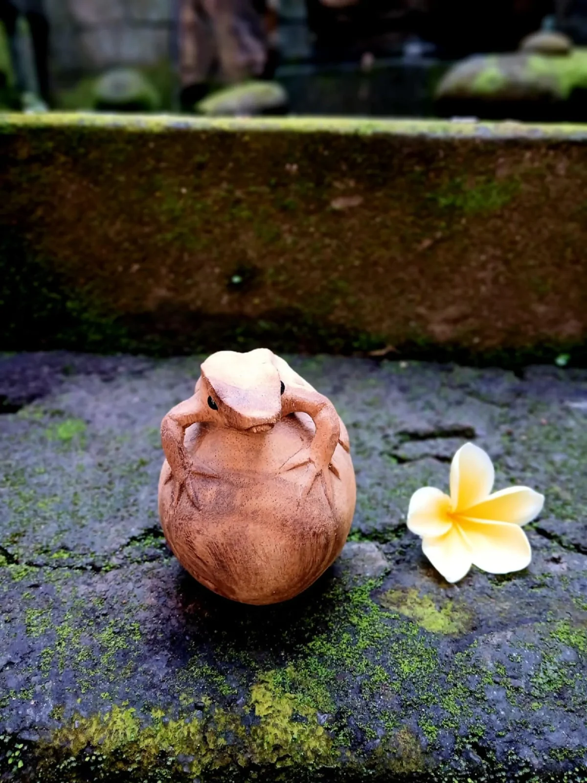 Hand Carved Wooden Frog Figurine,Handmade Animal Decor, Rustic Home Accent