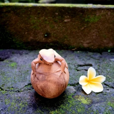 Hand Carved Wooden Frog Figurine,Handmade Animal Decor, Rustic Home Accent